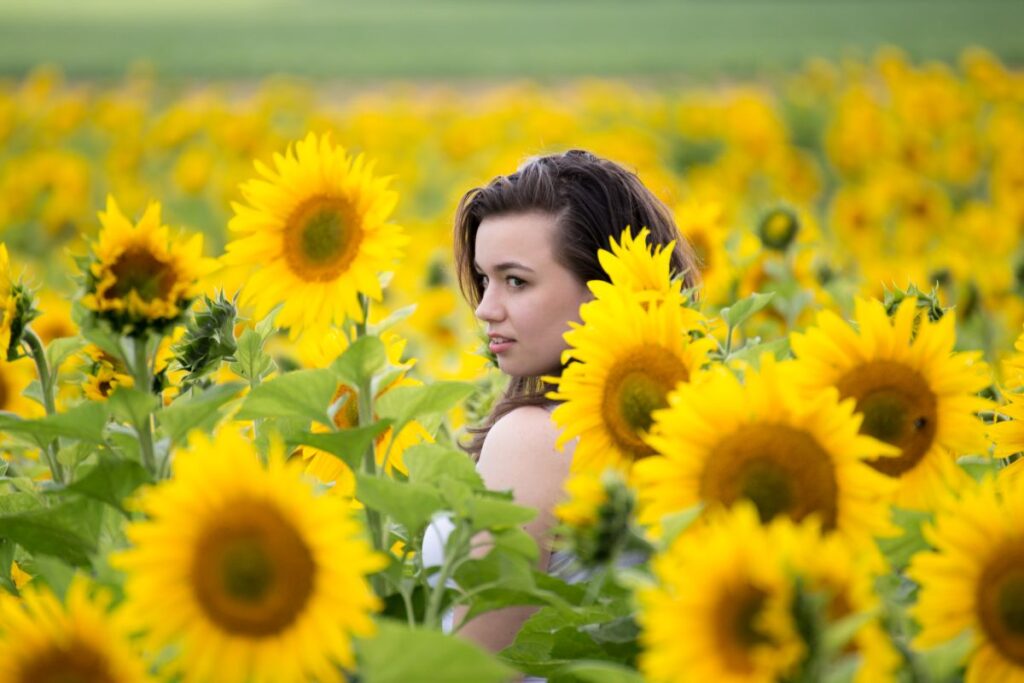 portraet_sonnenblumen